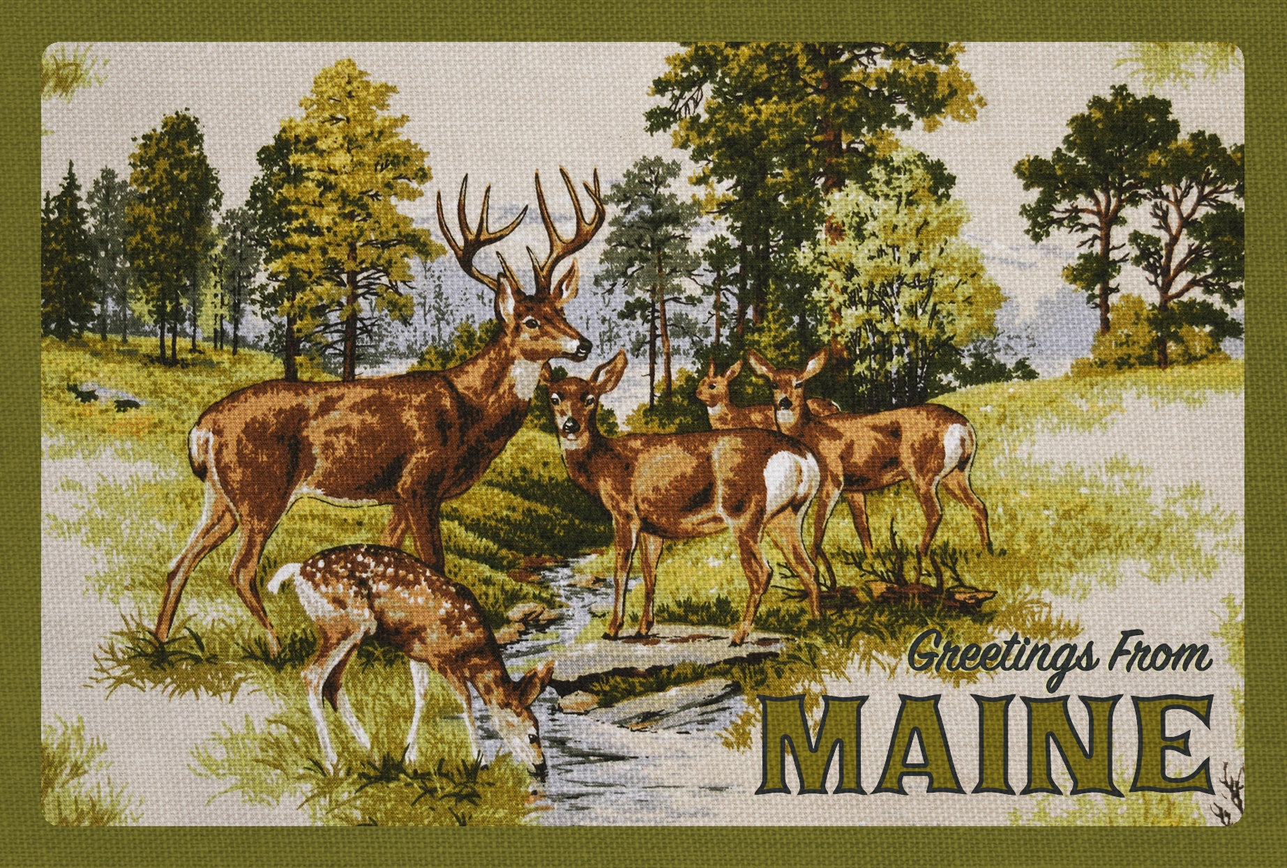 Greetings From Maine Deer Postcard