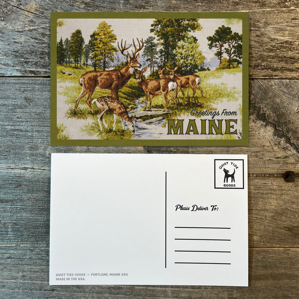 Greetings From Maine Deer Postcard