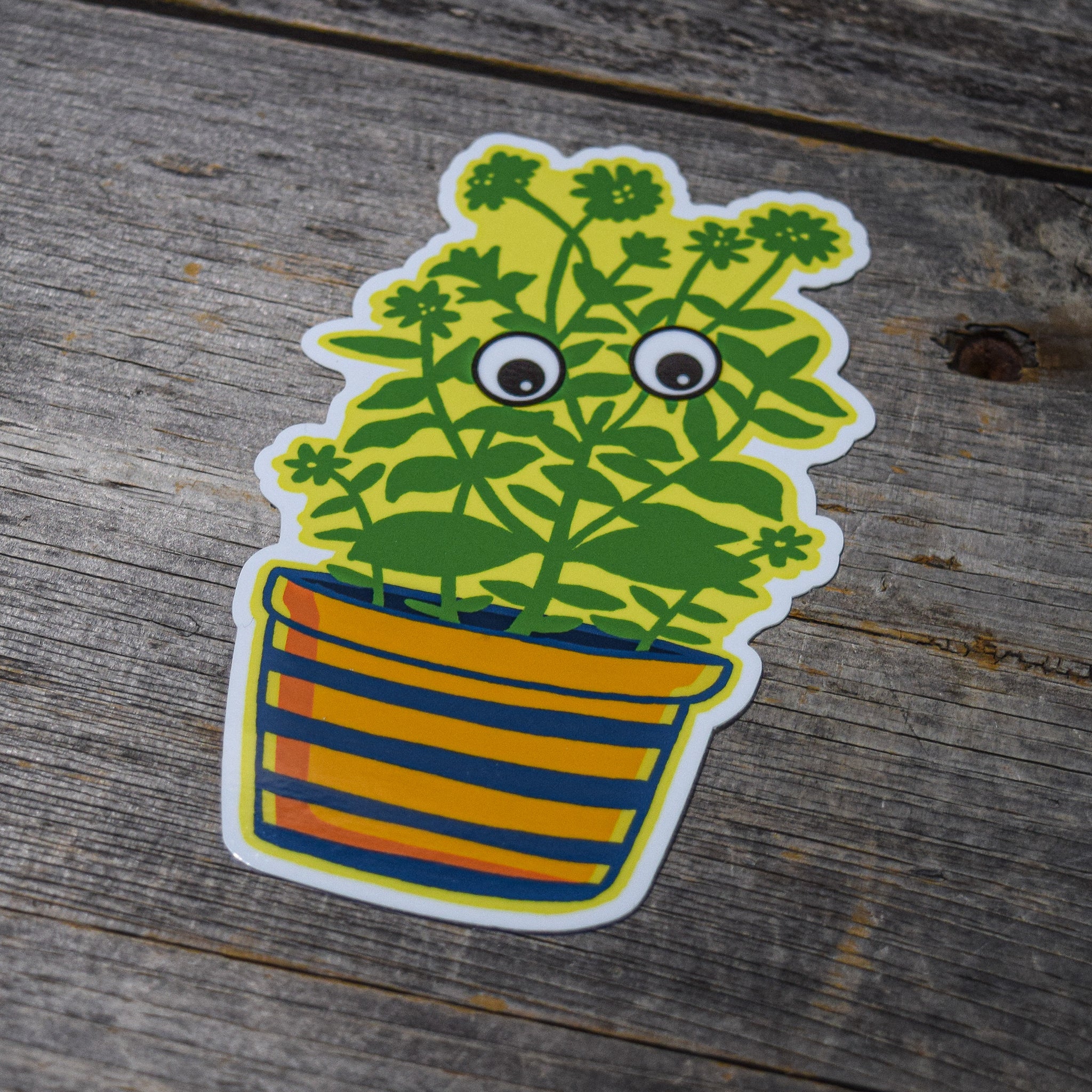 Plant with Googly Eyes Vinyl Sticker