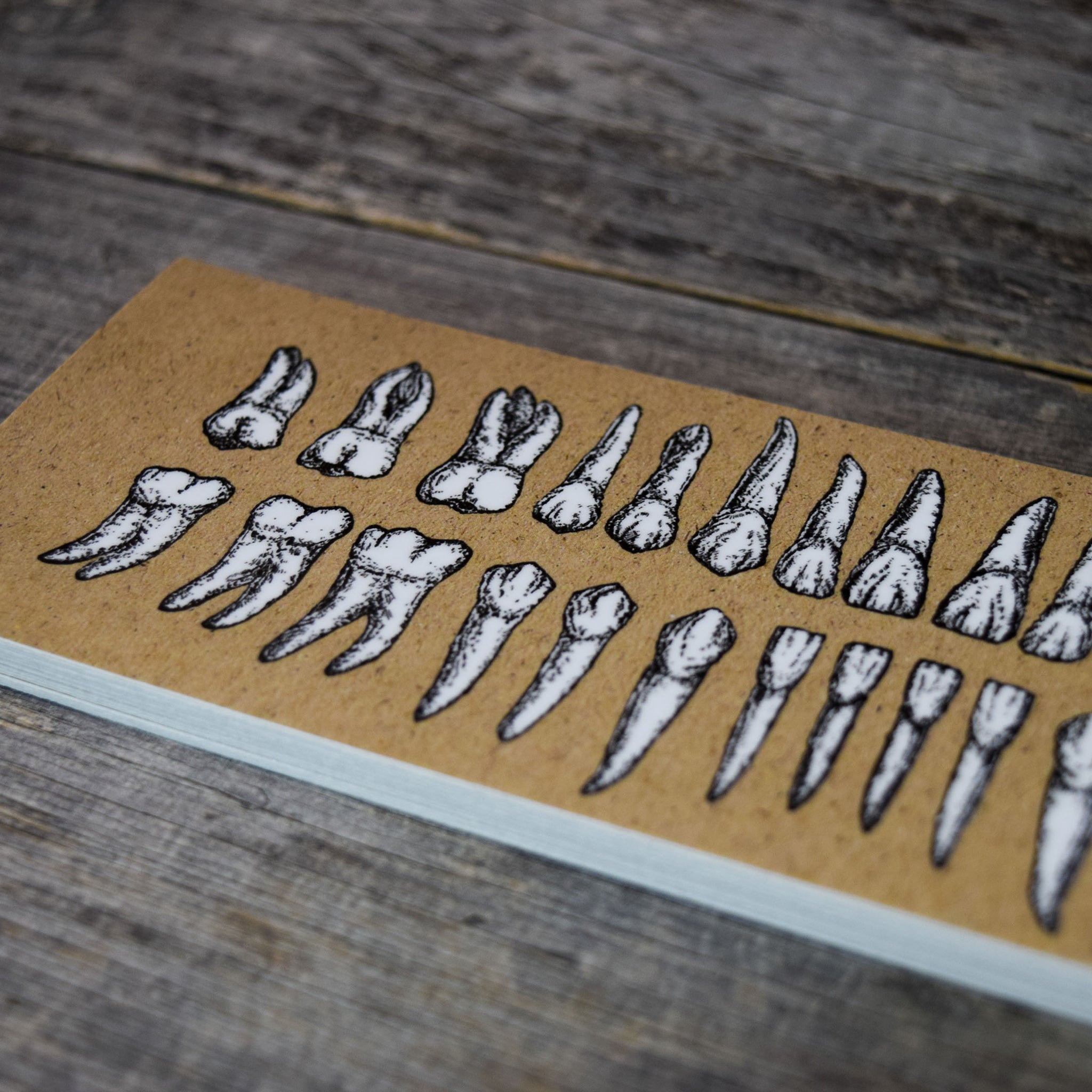 Vinyl Tooth TEETH Vinyl Sticker – Quiet Tide Goods